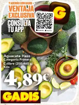 Gadis Gadis aguacate hass oferta
