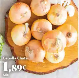 Gadis Cebolla Chata oferta