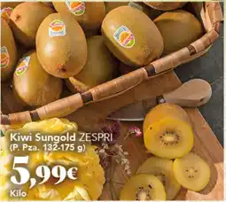 Gadis Kiwi sungold zespri oferta