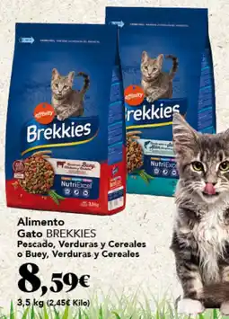 Gadis Affinity brekkies oferta