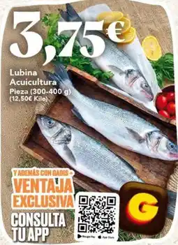 Gadis Lubina acuicultura oferta