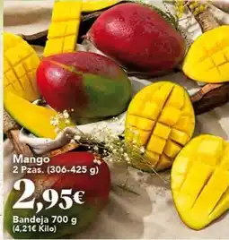 Gadis Mango - mango oferta