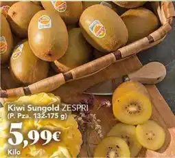 Gadis Zespri - kiwi sungold oferta