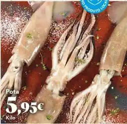 Gadis Pota oferta