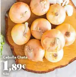 Gadis Cebolla chata oferta