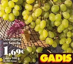 Gadis Uya blanca sin semilla oferta