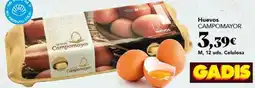 Gadis Campomayor - huevos oferta