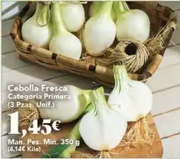 Gadis Cebolla fresca oferta