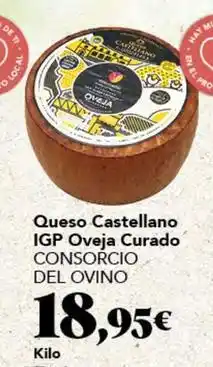 Gadis Consorcio - queso castellano igp oveja curado oferta