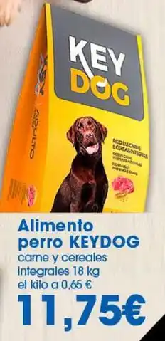 Alimento perro