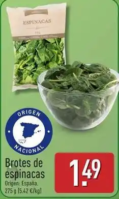 ALDI Brotes de espinacas oferta
