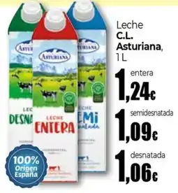 UDACO Leche C.L. Asturiana oferta