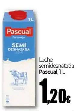 UDACO Pascual leche semidesnatada oferta