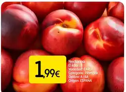 Dialprix Nectarina oferta