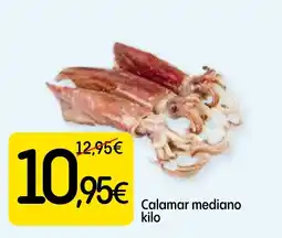 Dialprix Calamar mediano oferta