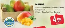 SPAR Gran Canaria Manga oferta