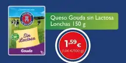 SPAR Gran Canaria Castillo de Molina Gouda sin Lactosa oferta