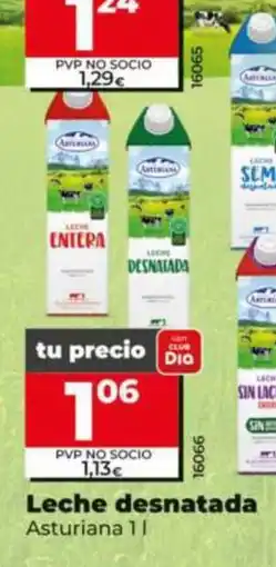 Dia Fresh Asturiana leche desnatada oferta