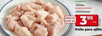 Maxi Dia Pollo oferta