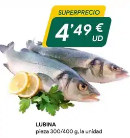 Masymas Lubina oferta