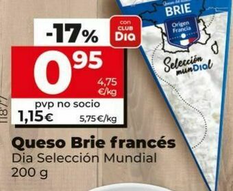 Dia Queso brie dia oferta