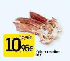 Dialprix Calamar mediano oferta