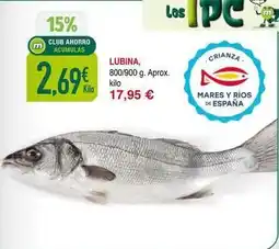 Masymas Rios - lubina oferta