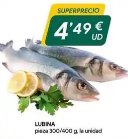 Masymas Lubina oferta