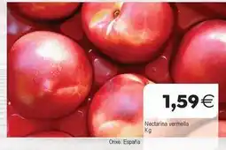 Plenus Supermercados España - nectarina vermella oferta