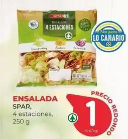SPAR Gran Canaria Spar - ensalada oferta