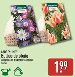 ALDI Gardenline bulbos de otoño oferta