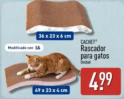 ALDI Cachet rascador para gatos oferta