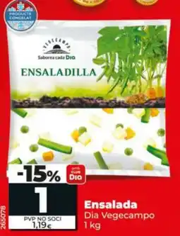 Dia Dia Vegecampo ensaladilla oferta