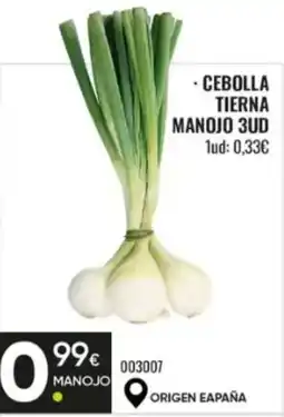 Family Cash Cebolla tierna oferta