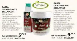 Coferdroza Vithal pasta cicatrizante sellaplus oferta