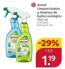 Rossmann domol limpiacristales y limpieza de baños ecológico oferta