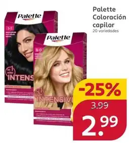 Rossmann Palette coloración capilar oferta