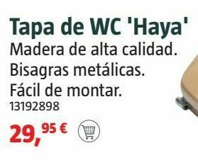 Tapa de wc
