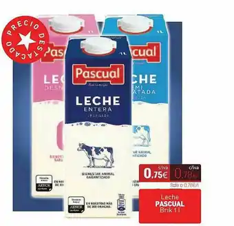 Cuevas Cash Leche Pascual Brik 1 L oferta