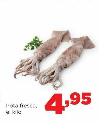 Alimerka Pota Fresca oferta