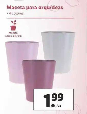 Lidl Maceta Para Orquídeas oferta