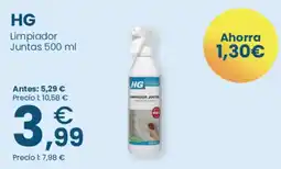 Clarel HG limpiador juntas oferta