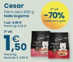 Clarel Cesar Perro seco oferta