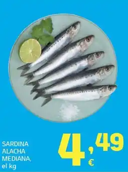 HiperDino Sardina alacha mediana oferta