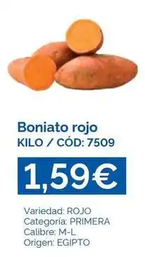 Origen - boniato rojo
