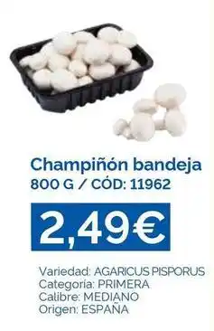 Dialsur Cash & Carry Origen - champiñón bandeja oferta