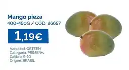 Dialsur Cash & Carry Mango - mango pieza oferta