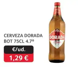 GM Cash & Carry Dorada cerveza oferta