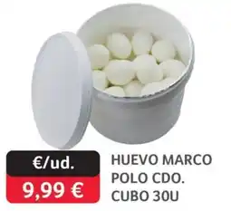 GM Cash & Carry Huevo marco polo cdo. cubo 30u oferta