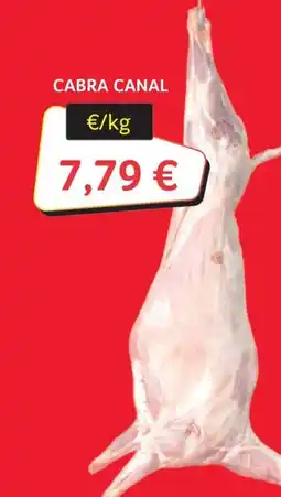 GM Cash & Carry Cabra Canal oferta